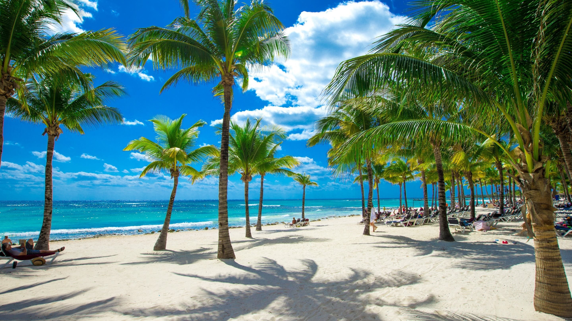 Welcome to Sharavista Travels and Tours